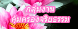 กลุ่มงานคุ้มครองจริยะธรรม